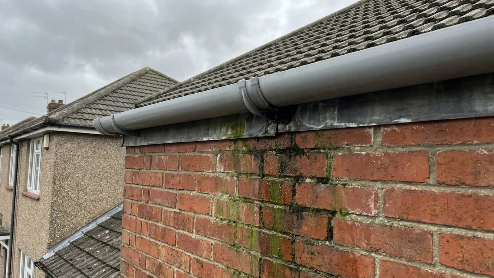 Green algae staining on a wall below guttering