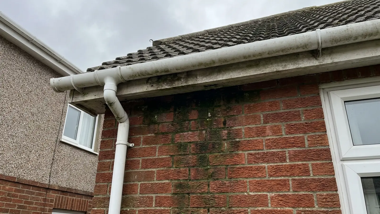 Green staining down a wall below a gutter